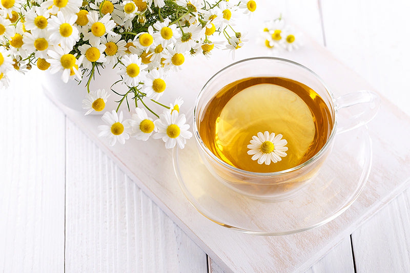 Chamomile